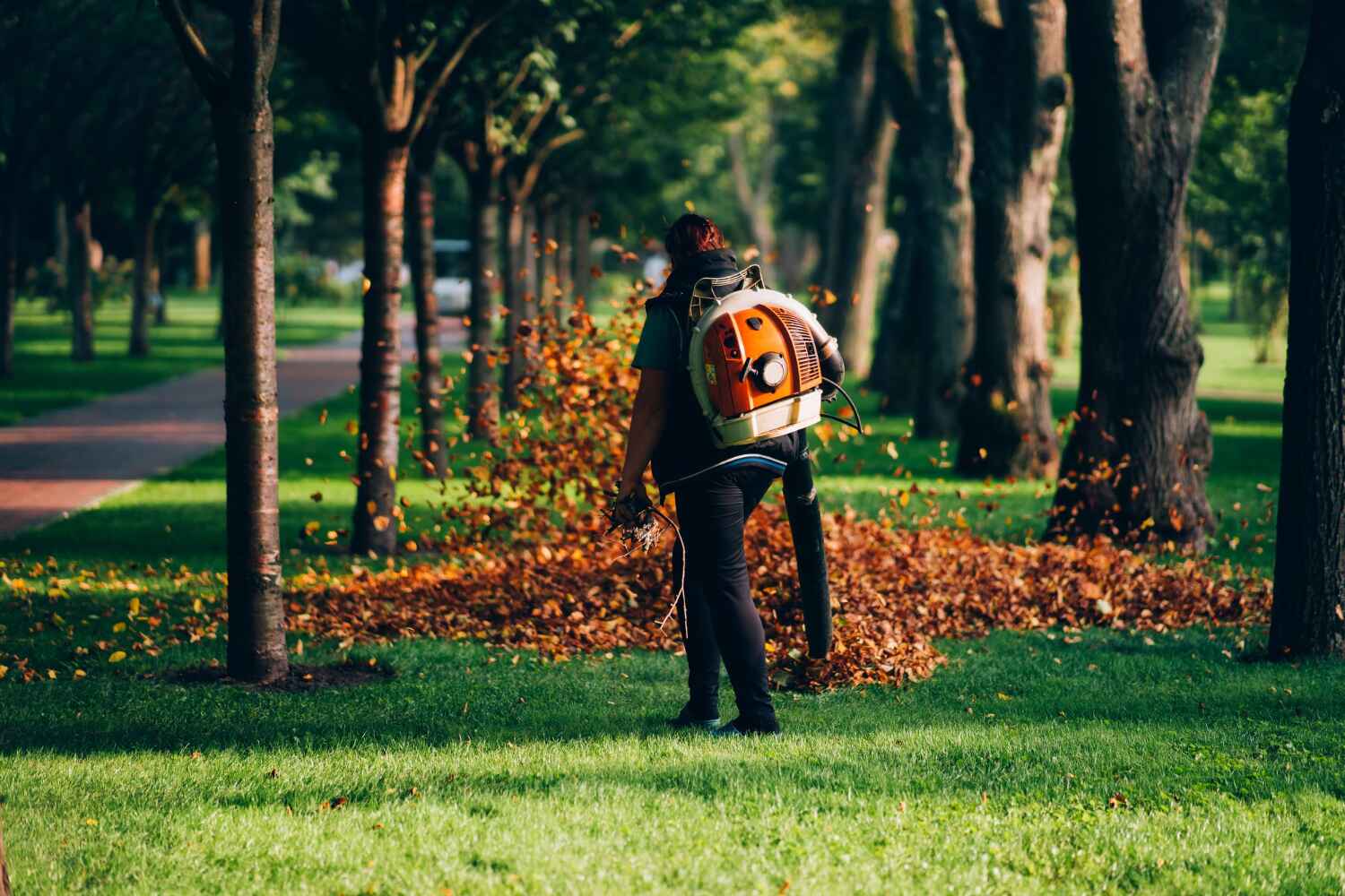 Best Affordable Tree Service  in June Park, FL